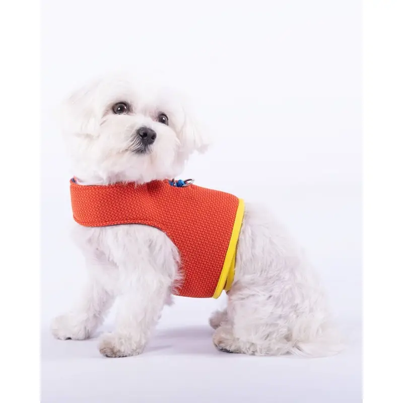 Yuki Mesh Dog Harness in Orange (Made in Spain) (FINAL SALE)