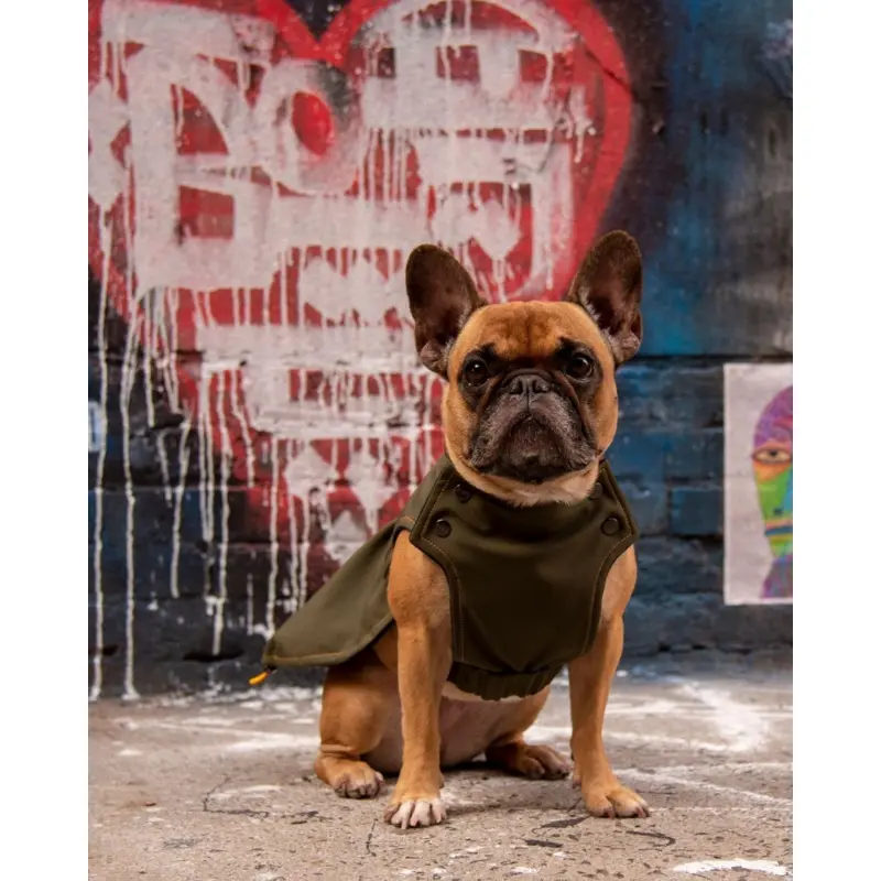 Brownie Waterproof Raincoat in Olive