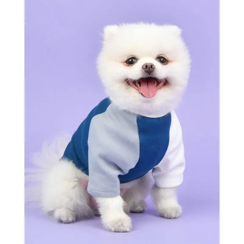 Color Block Dog T-Shirt in Navy (FINAL SALE)