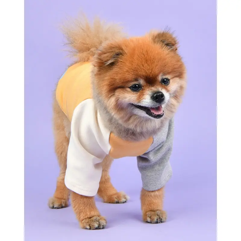 Color Block Dog T-Shirt in Yellow
