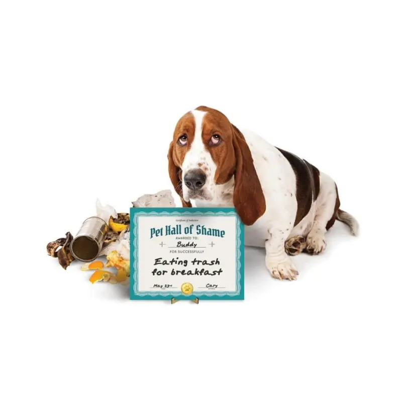 Pet Hall Of Shame Dry Erase Board(FINAL SALE)