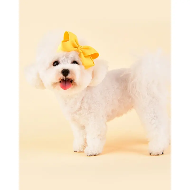 Princess Ribbon Dog Hair Bow