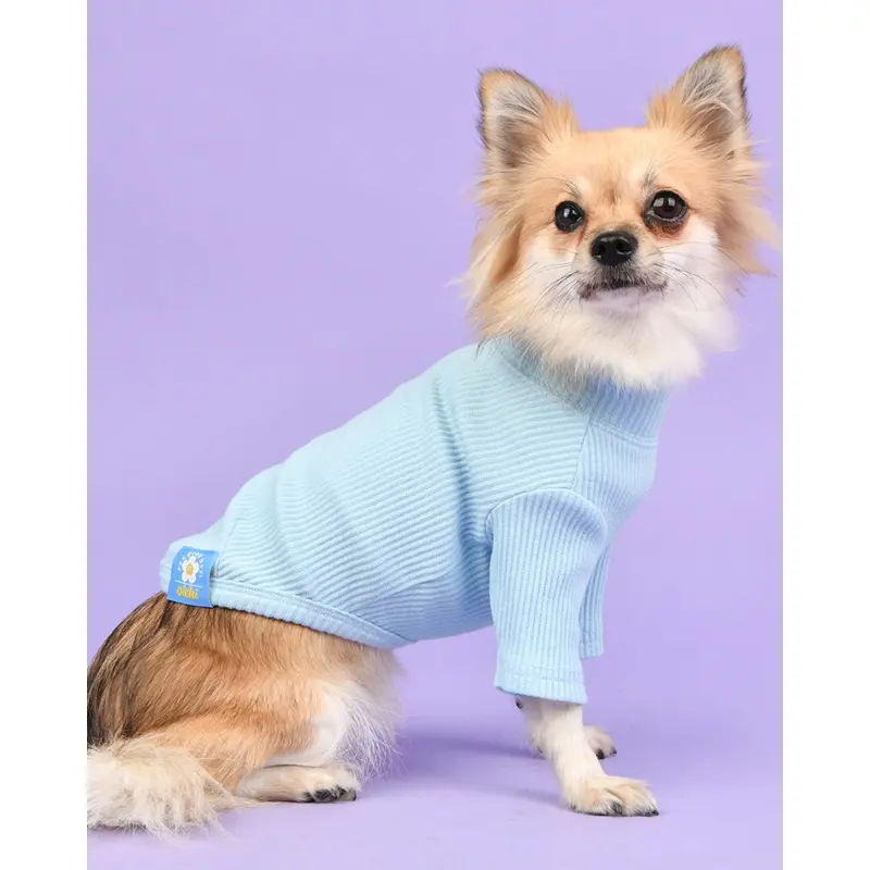 Ribbed Dog Turtleneck Tee In Light Blue