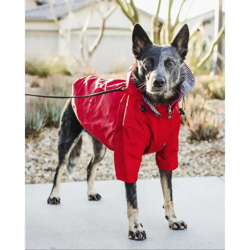Rainy Day Dog Raincoat in Red