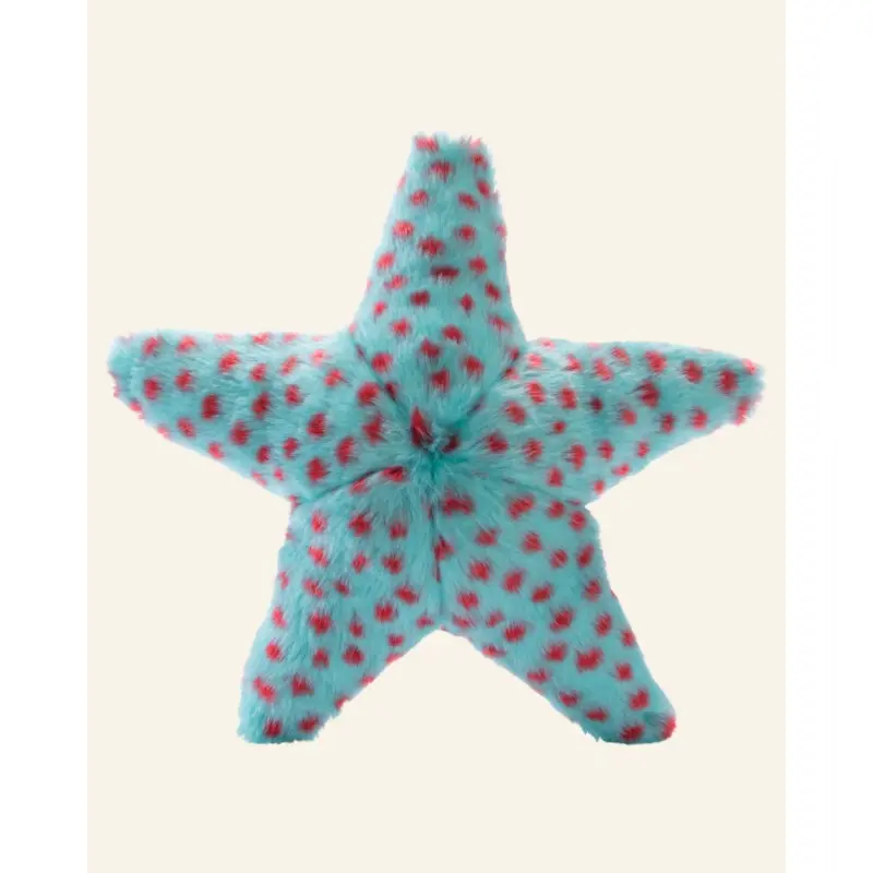 Ally The Starfish Crinkle Plush Dog Toy (FINAL SALE)
