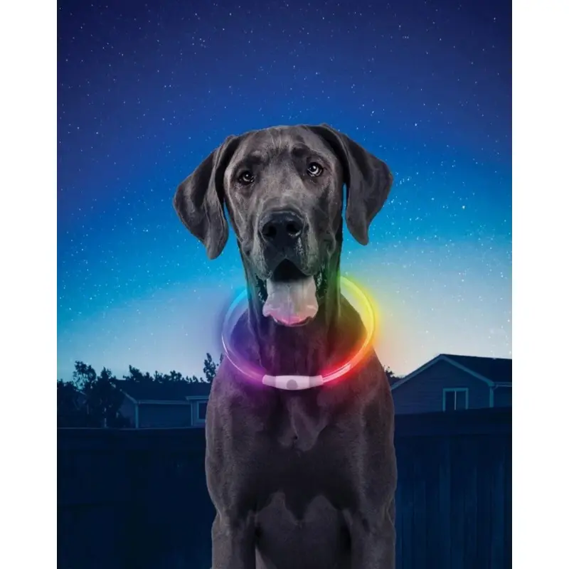 NITEHOWL Rechargeable Led Safety Dog Necklace