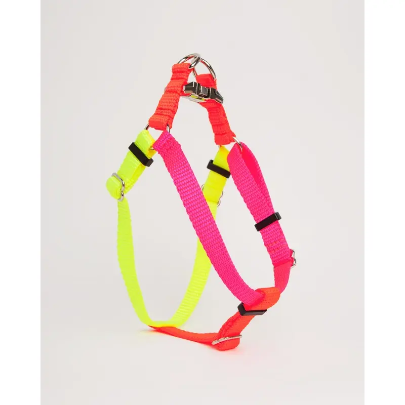 Nylon Colorblock Dog Harness in Neon Pink/Orange/Yellow (Made in the USA)