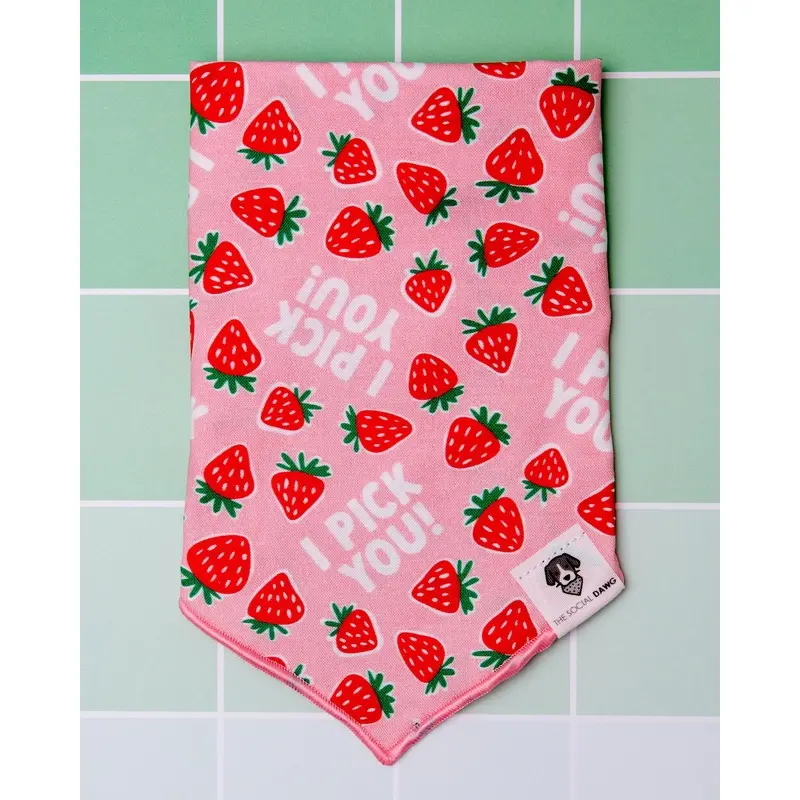 I Pick You! Strawberry Dog Bandana(Made in the USA) (FINAL SALE)