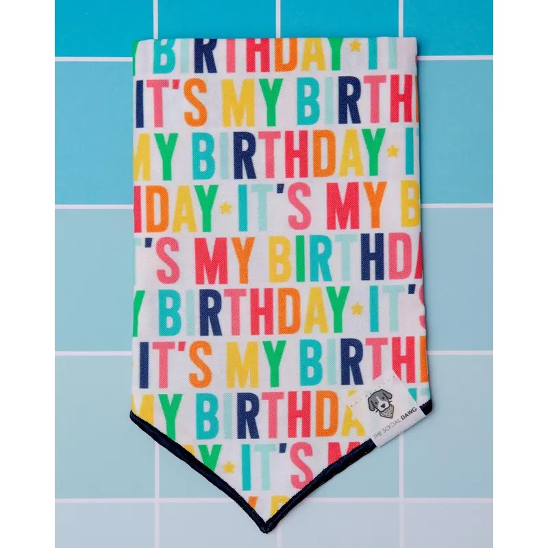 It's My Birthday Dog Bandana (Made in the USA)