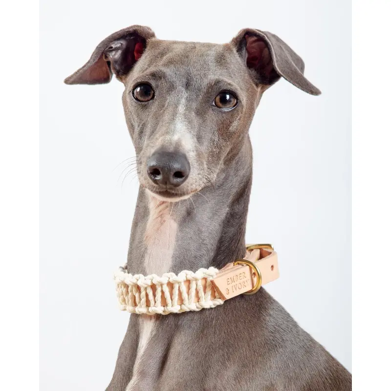Macrame & Leather Dog Collar in Natural (Made in the USA) (CLEARANCE)