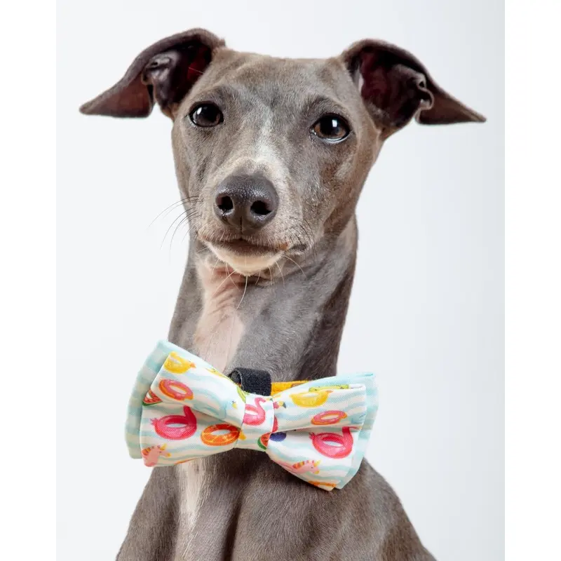 Summer Floats Dog Bow-Tie(Made in the USA) (FINAL SALE)