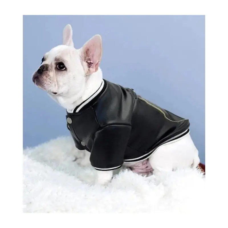 Very Varsity Faux Leather Dog Jacket with D-Ring (FINAL SALE)