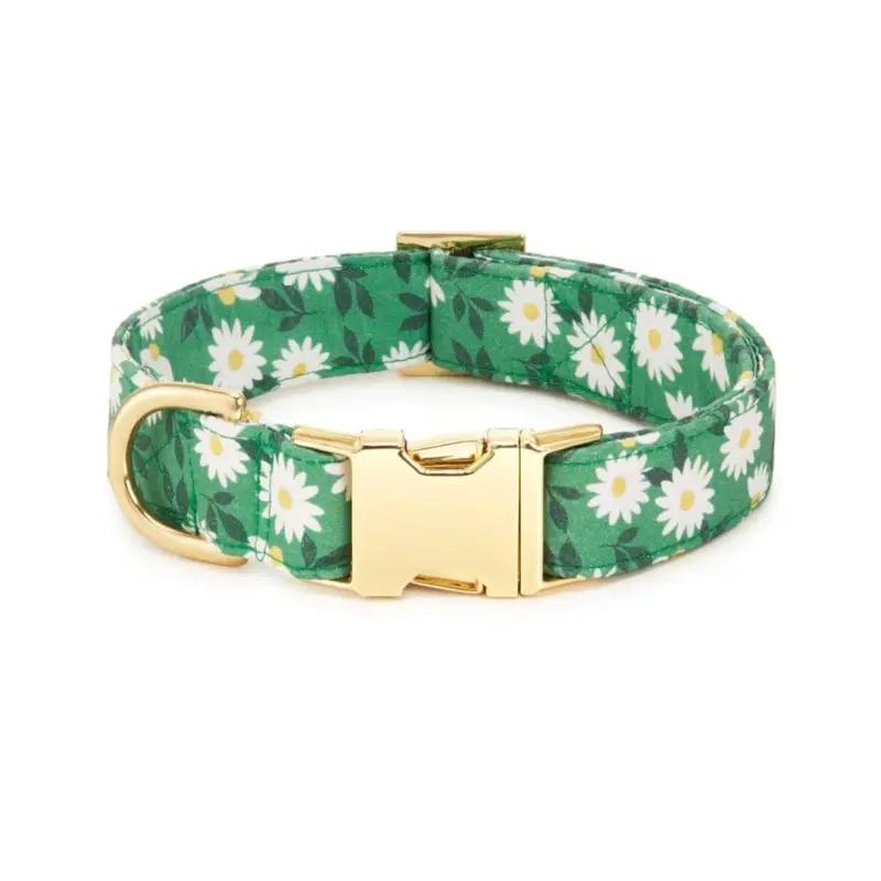 Coming Up Daisies Dog Collar(Made in the USA)
