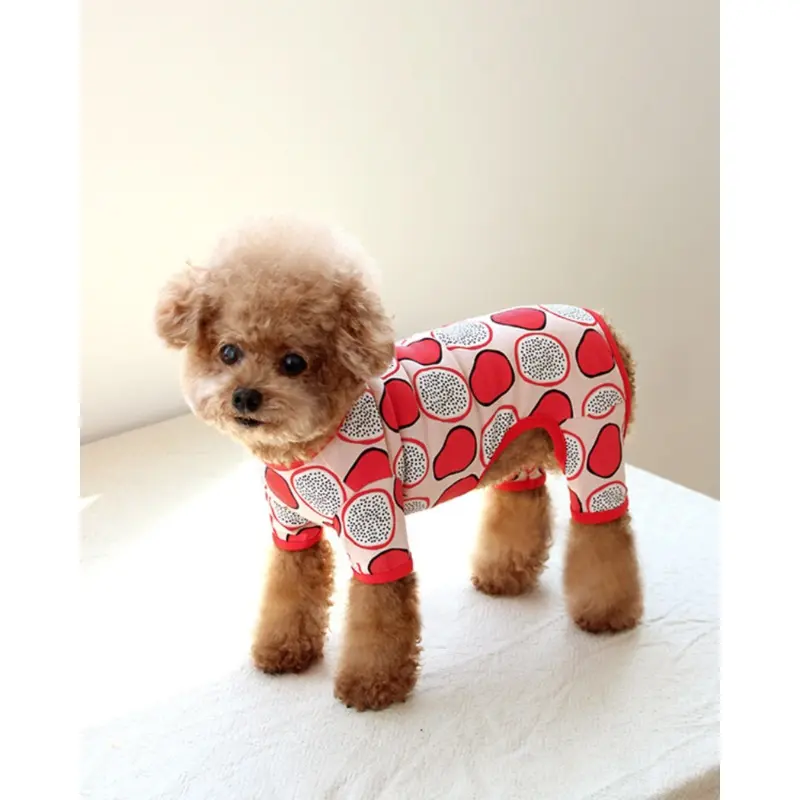 Dragonfruit Print Dog Onesie (FINAL SALE)