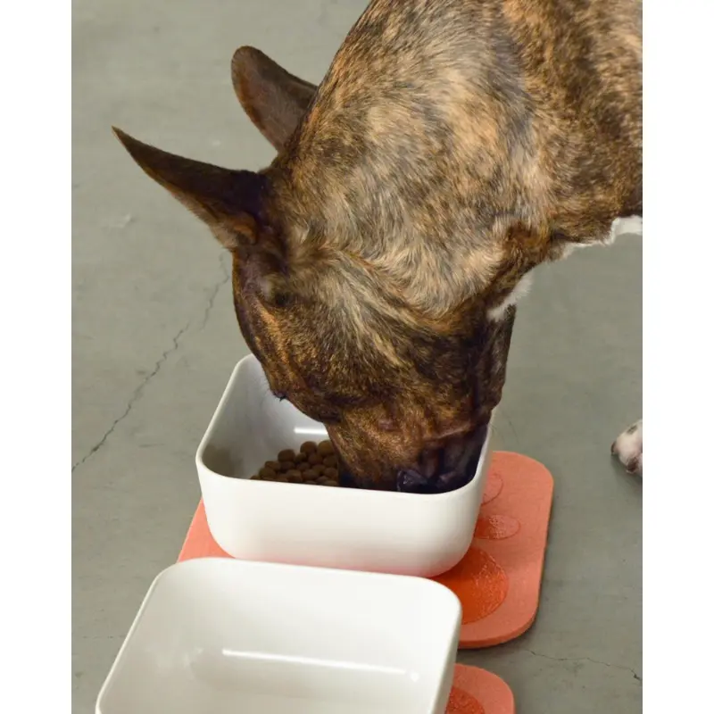 The Bamboo Fiber Puppy Pantry Bowl Set (CLEARANCE)