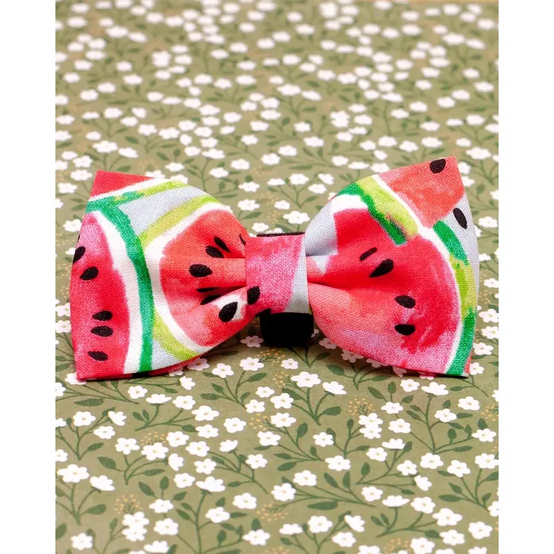 Watermelon Dog Bow Tie(Made in the USA) (FINAL SALE)