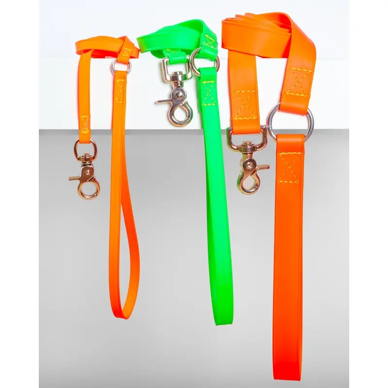 A Walk in the Park Dog Leash (Made in the USA)