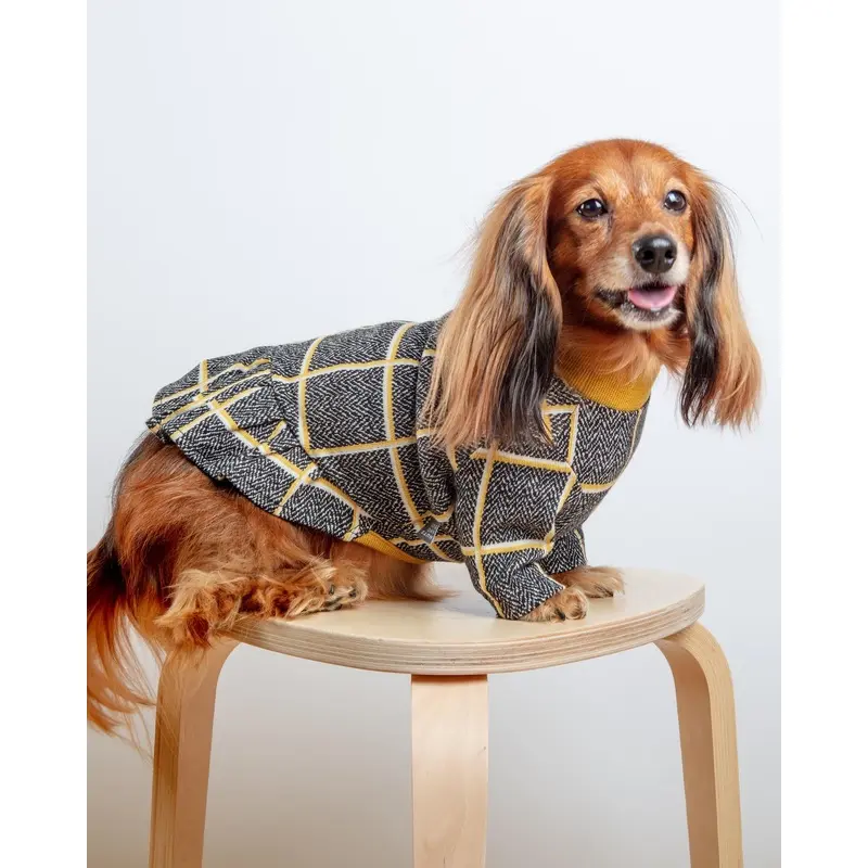Check Dress for Dogs in Mustard Yellow (FINAL SALE)
