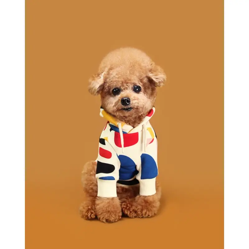 Colorful Design Dog Hoodie in Ivory