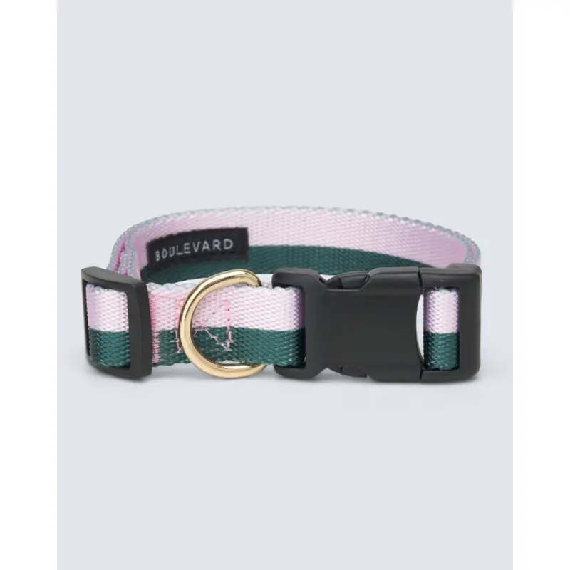 Hunter + Blush Stripe Adjustable Dog Collar (FINAL SALE)