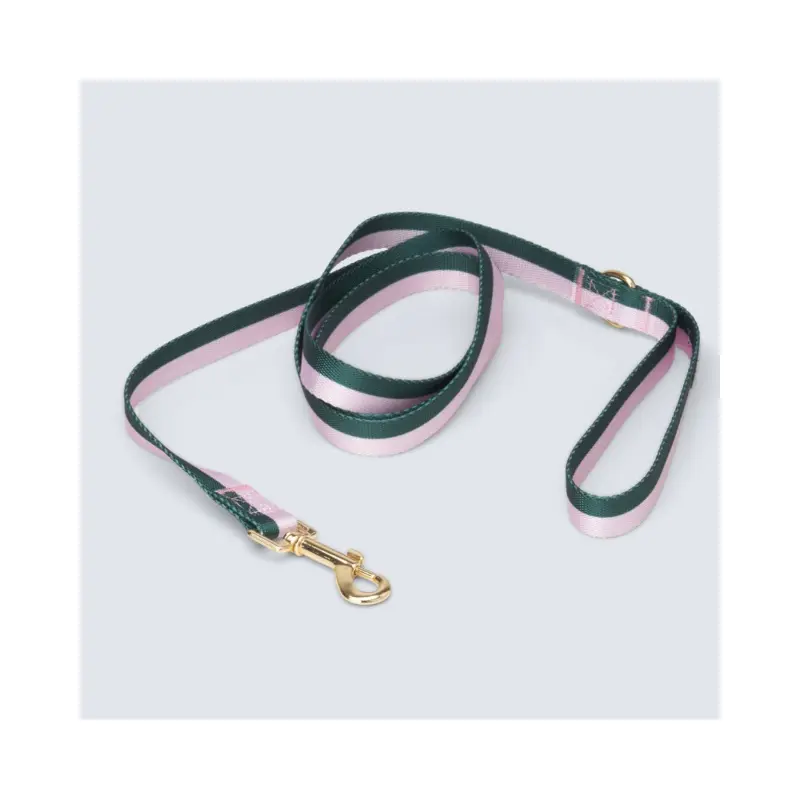 Hunter + Blush Stripe Dog Leash (FINAL SALE)