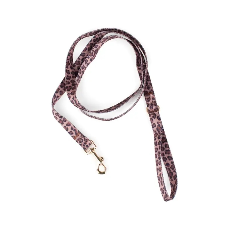 Leopard Dog Leash (FINAL SALE)