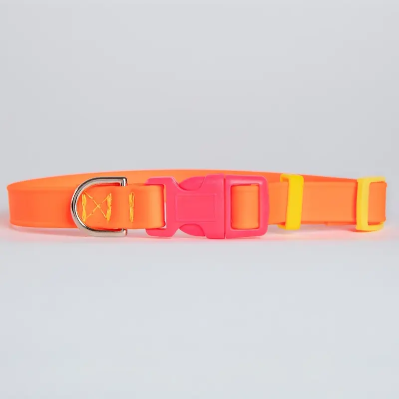 A Walk in the Park Dog Collar in Neon Orange (Made in the USA)