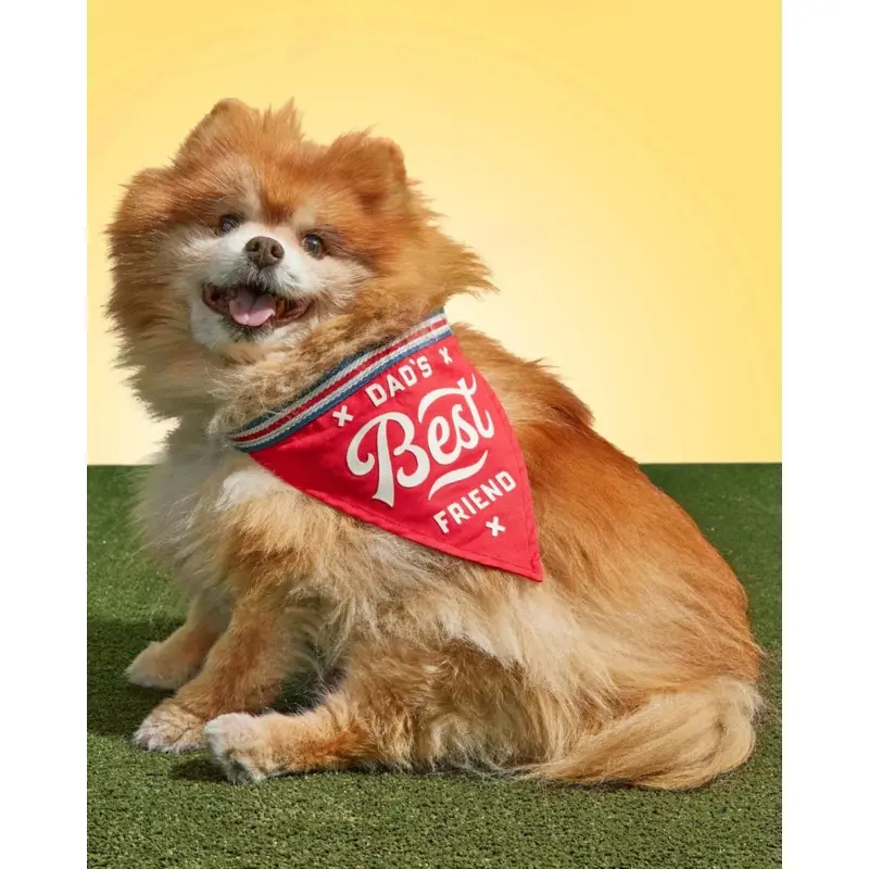 Dad's Best Friend Dog Bandana (FINAL SALE)