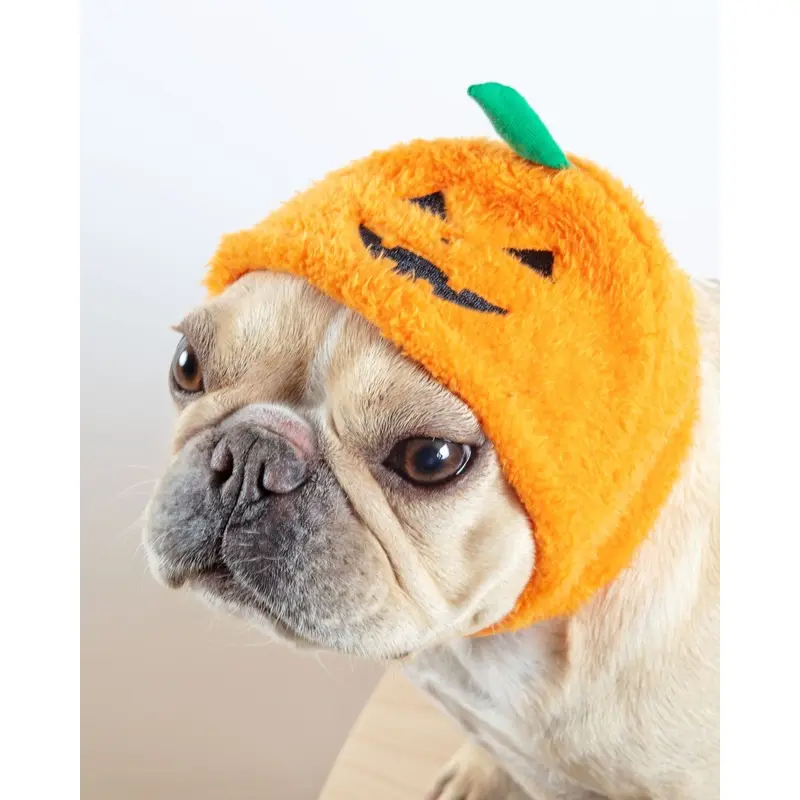 Jack-O'Hat Howloween Dog Hat