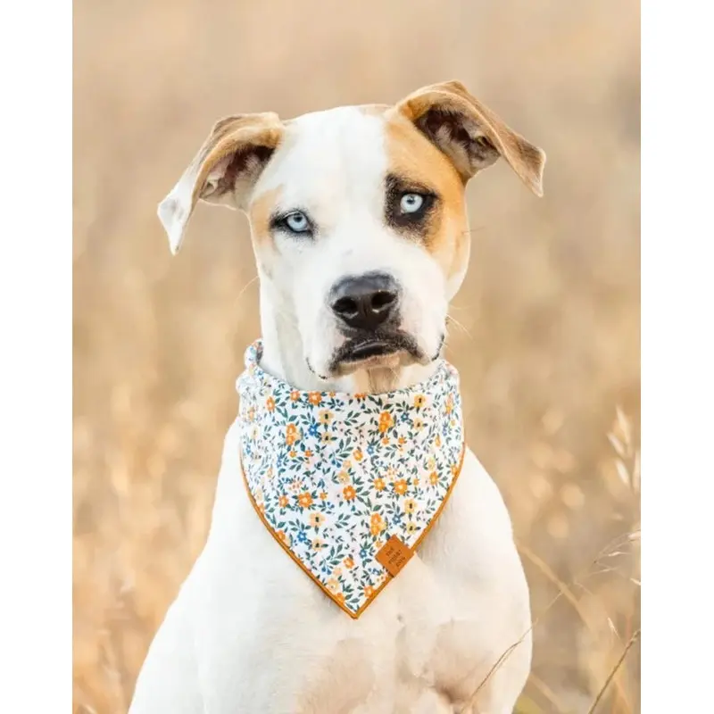 Meadow Floral Dog Bandana (Made in the USA)