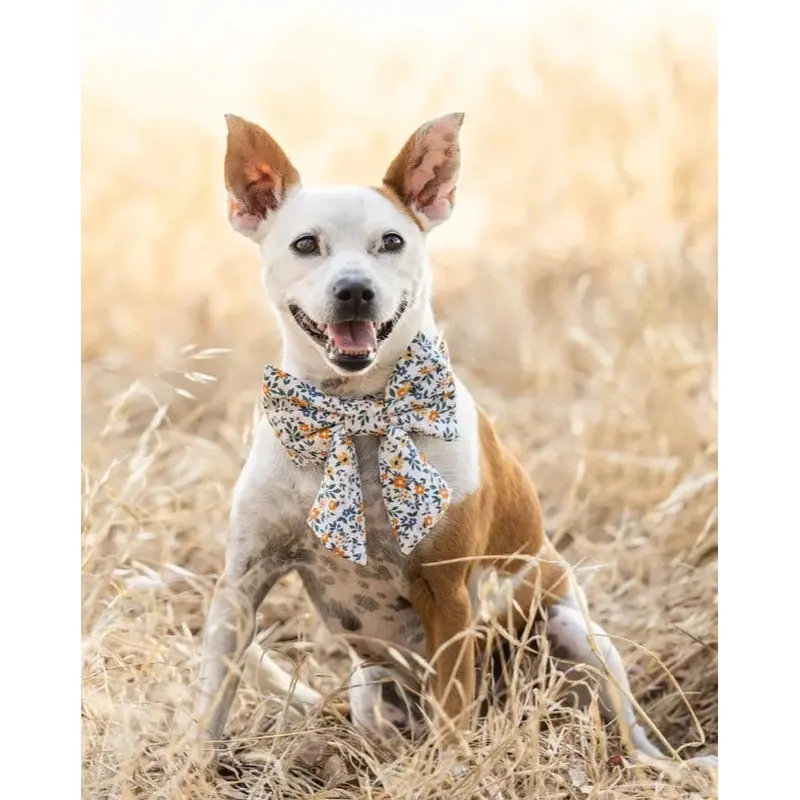 Meadow Floral Dog Sailor Bow (Made in the USA)