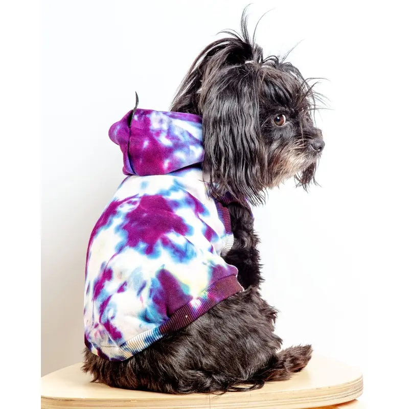 Studio Splatter Dog Sweatshirt in TV Screen (FINAL SALE)