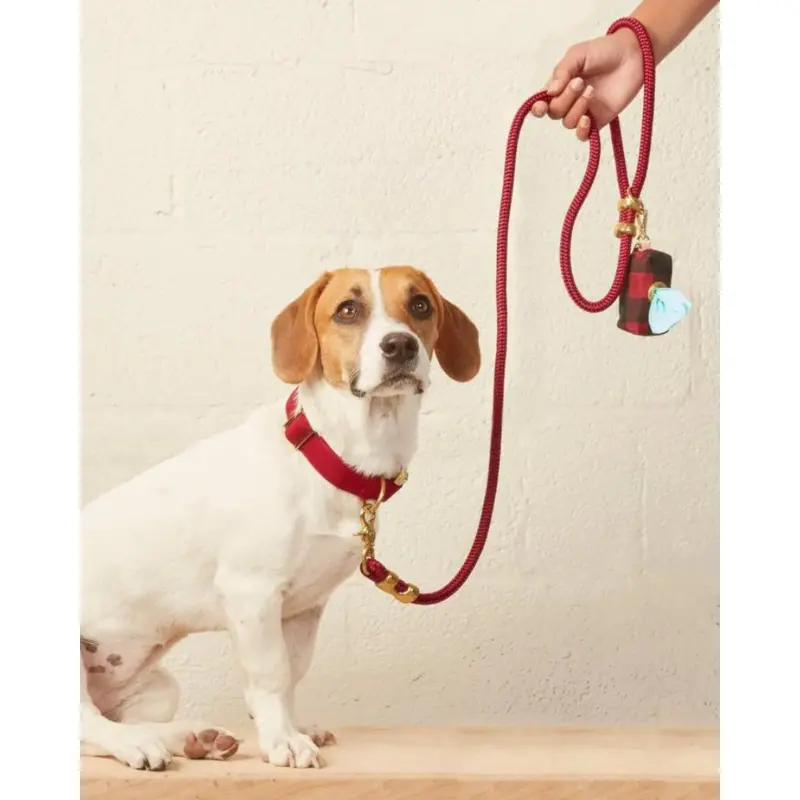 Wine Marine Rope Dog Leash (Made in the USA) (FINAL SALE)