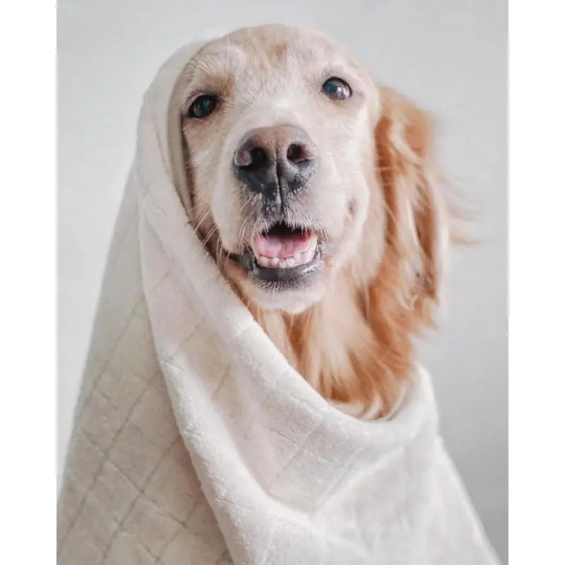 Baby Fleece Microfiber Dog Towel in Cream