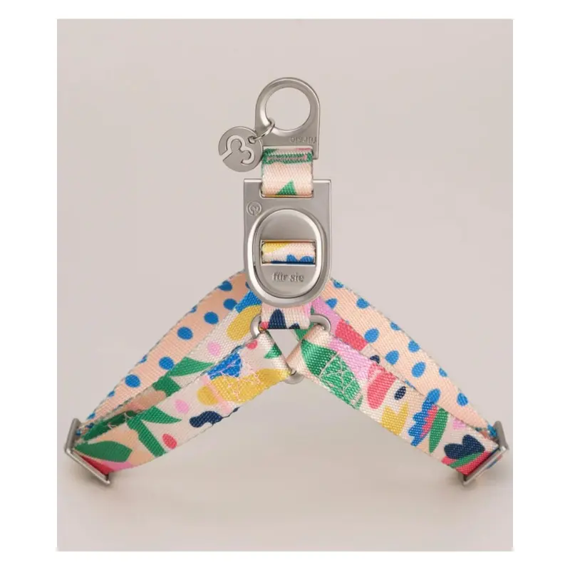 Gaston Step-In Dog Harness (CLEARANCE)