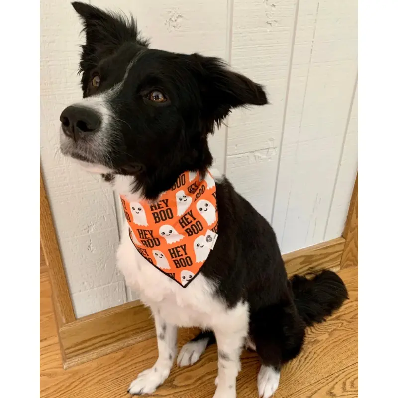 Hey Boo Halloween Dog Bandana(Made in the USA)