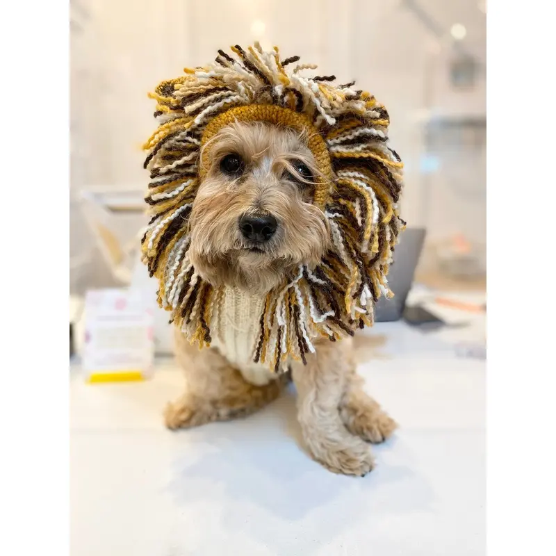 Lion Hand-Knit Dog Sweater (DOG & CO. Exclusive) (FINAL SALE)