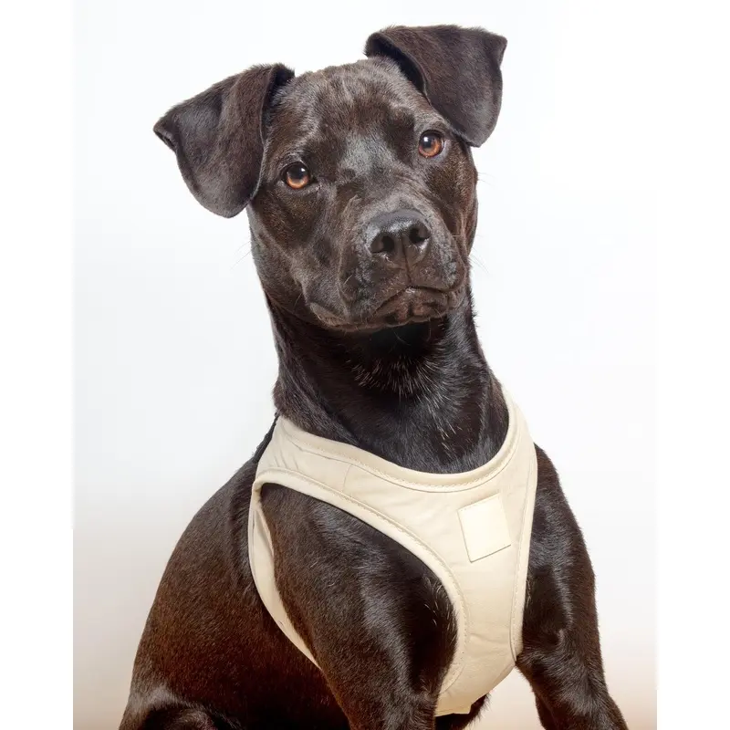 Soft Fabric Step-In Dog Harness in Sandstone, Myrtle Green, or Blush