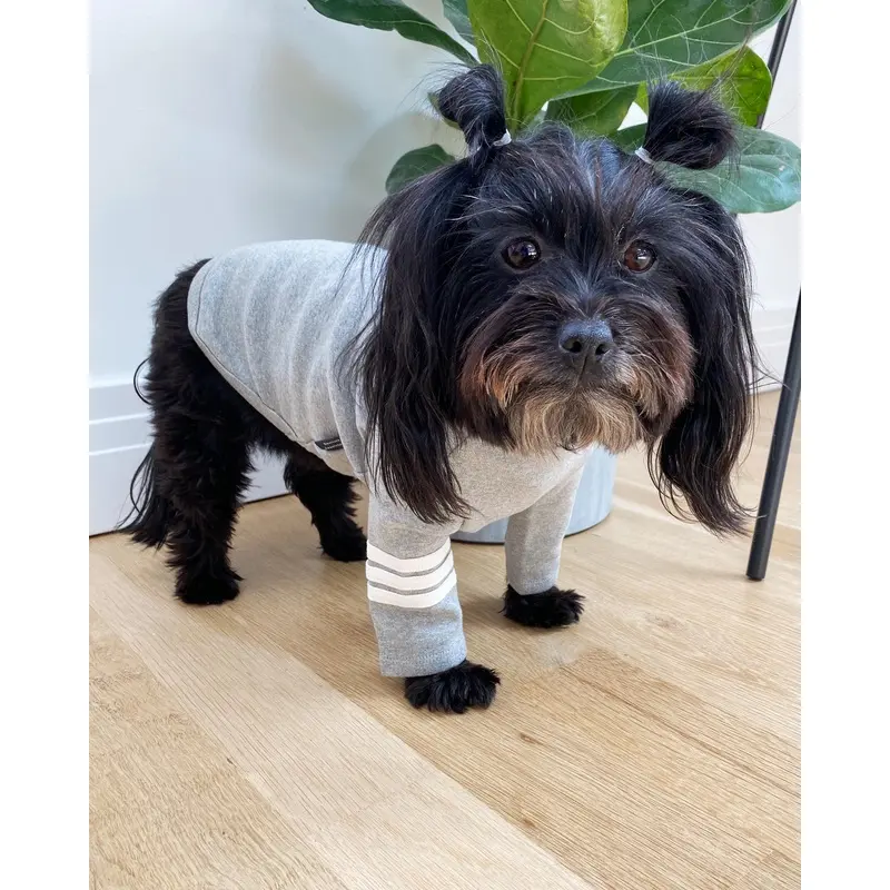 Stripe Point Turtleneck in Grey (Dog & Co. Excusive)