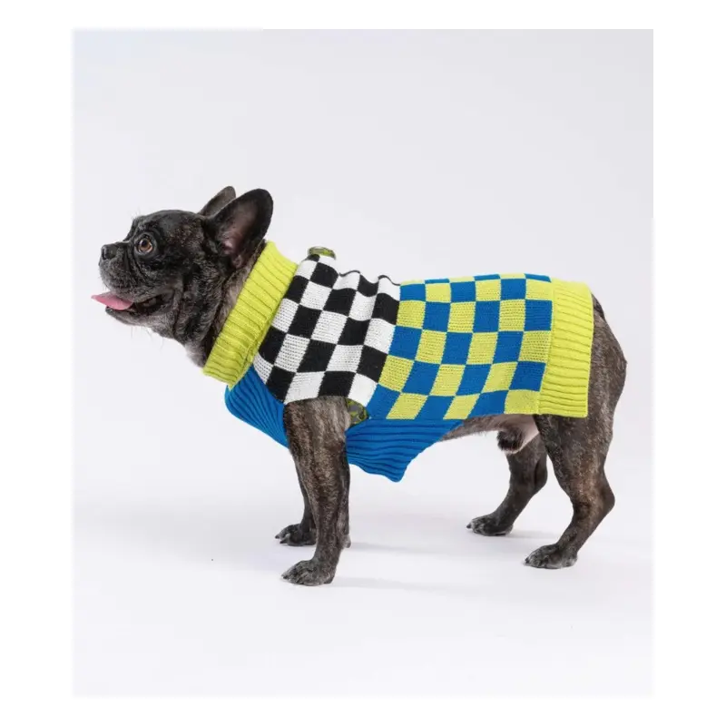 Checkerboard Dog Sweater in Lime & Cobalt (FINAL SALE)