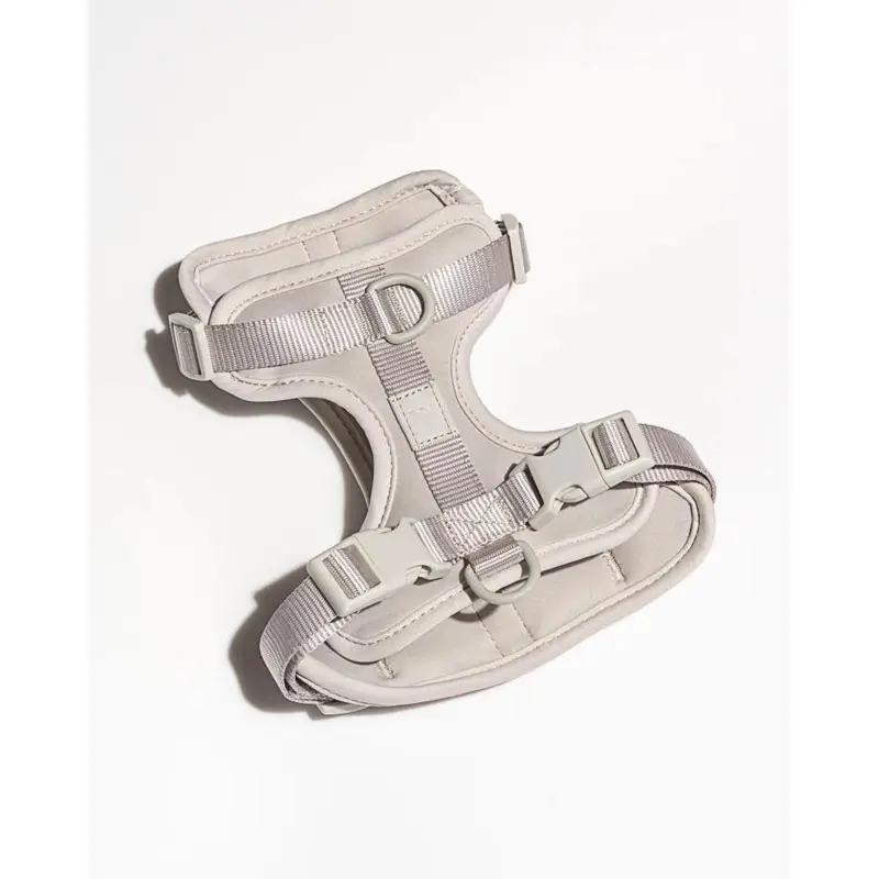 Cushioned Dog Harness in Grey (FINAL SALE)