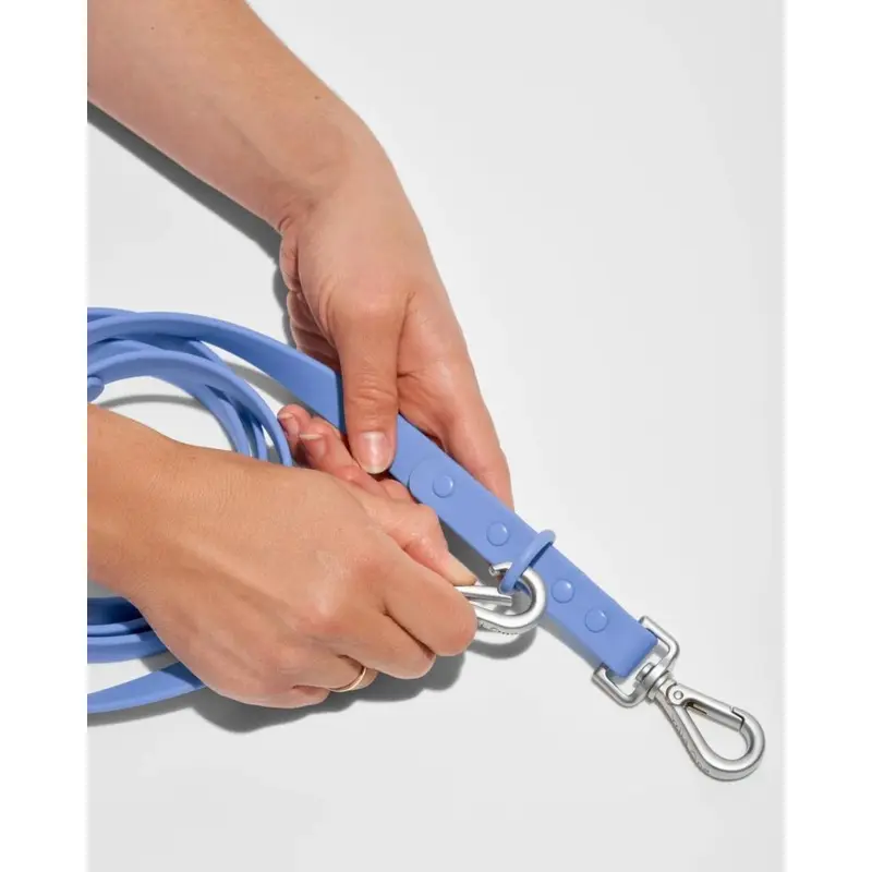 Durable Dog Leash in Moonstone (FINAL SALE)