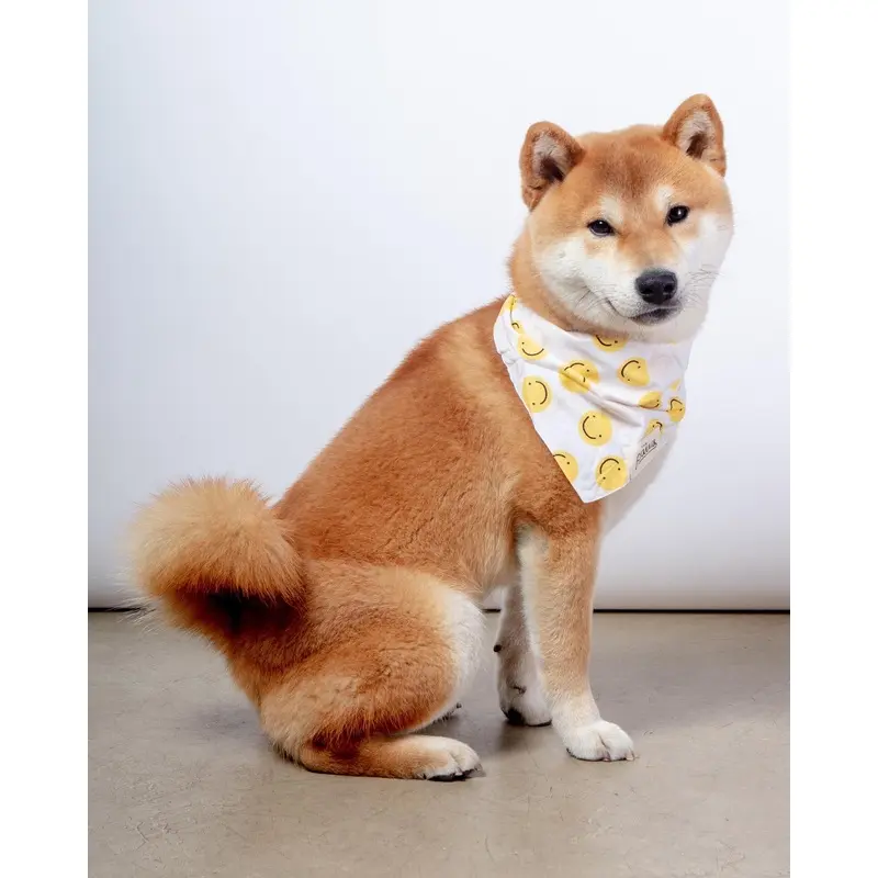 Elsie Dog Bandana (FINAL SALE)