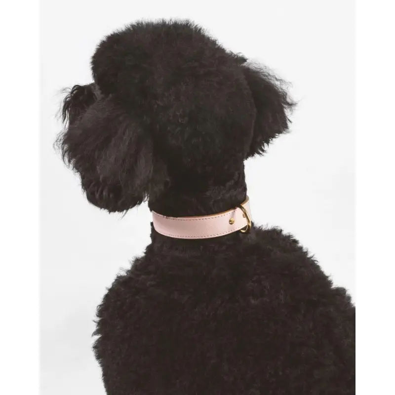 Moni Dog Collar in Blush Pink Leather (Made in Italy) (FINAL SALE)