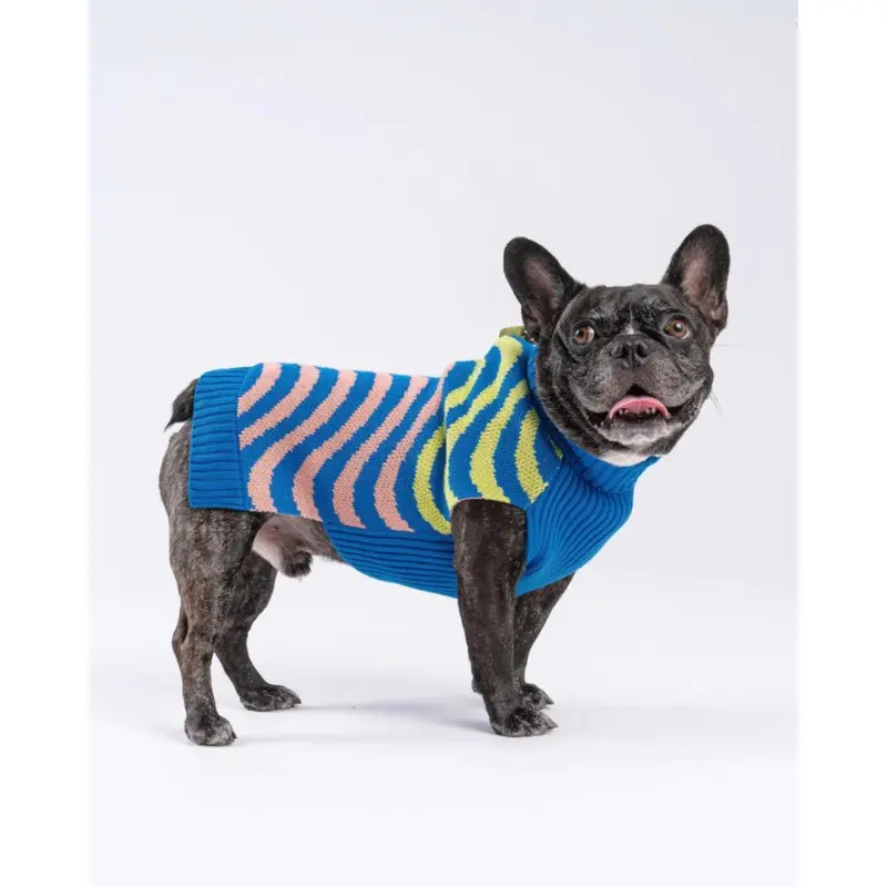 Sound Wave Dog Sweater in Lime & Cobalt (FINAL SALE)
