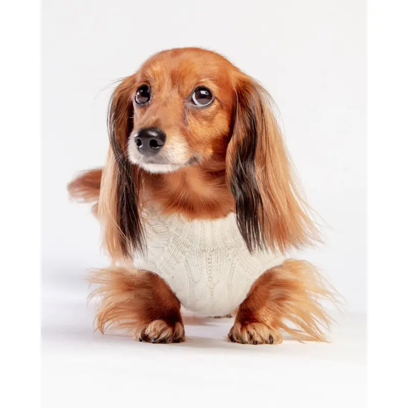 The Uptown Cable Knit Sweater in Natural American Cotton (Made in NYC)