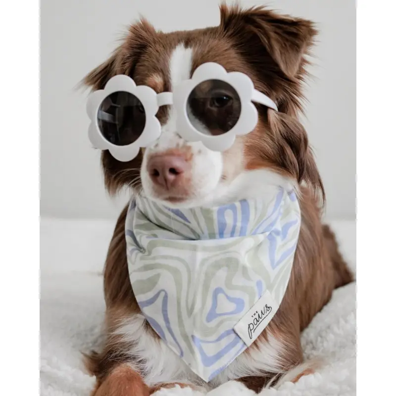 Yeah Baby Dog Bandana (CLEARANCE)