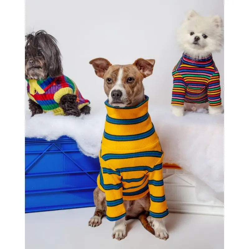 Back To School Ribbed Dog Pullover