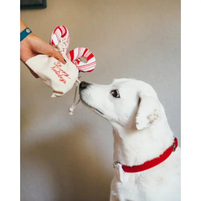 Cheerful Candy Canes Toy