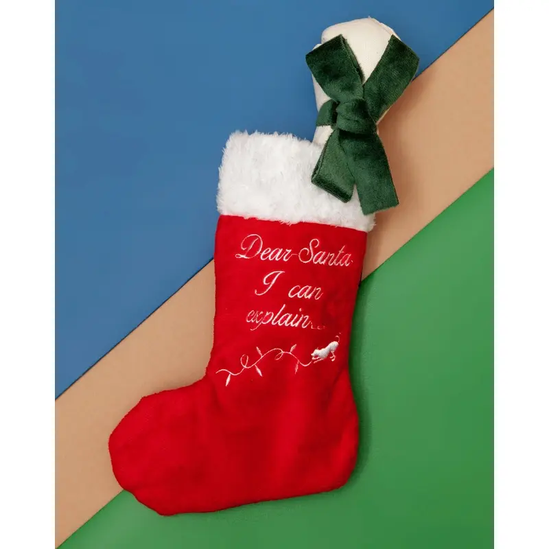 Good Dog Stocking & Bone Toy Set